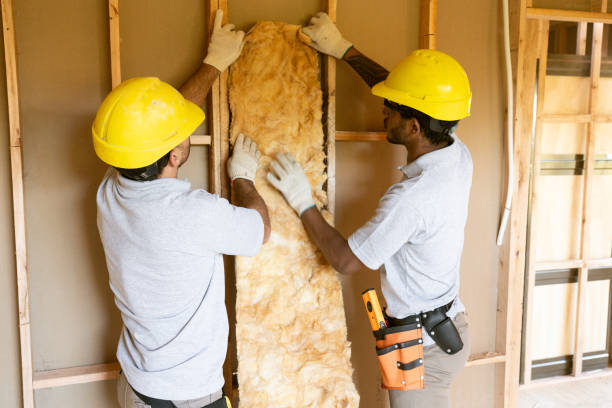 Best Blown-In Insulation in Vista, CA